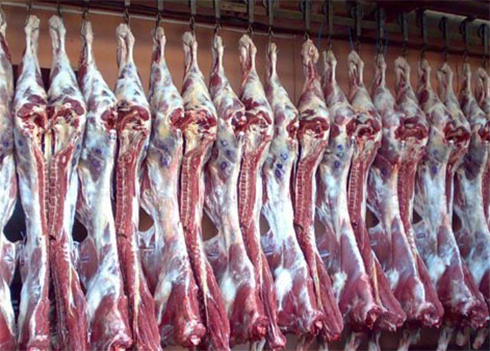 牛肉冷冻库建造 牛肉冷冻库建造