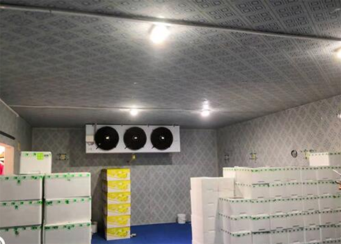 海鲜低温冷冻库建造安装 海鲜低温冷冻库建造安装