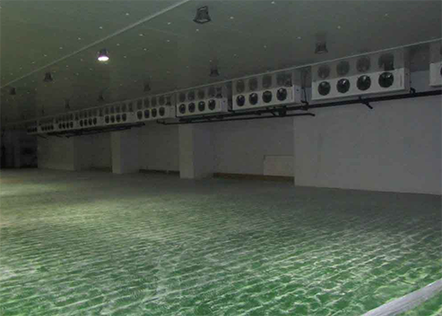 大型海鲜物流冷藏库建设价格 大型海鲜物流冷藏库建设价格