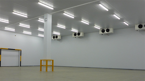 果蔬保鲜库建造费用