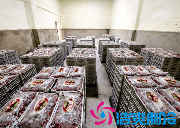 樱桃气调建造完成后有哪些储存方法和步骤?_浩爽制冷 樱桃气调建造完成后有哪些储存方法和步骤?_浩爽制冷