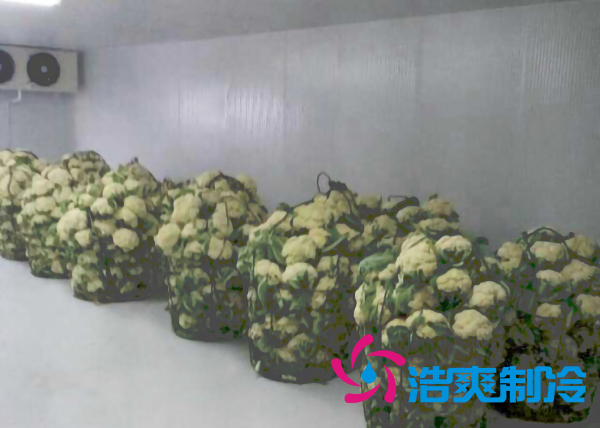 上海建造2000立方米鲜花气调保鲜冷库造价多少钱? 上海建造2000立方米鲜花气调保鲜冷库造价多少钱?