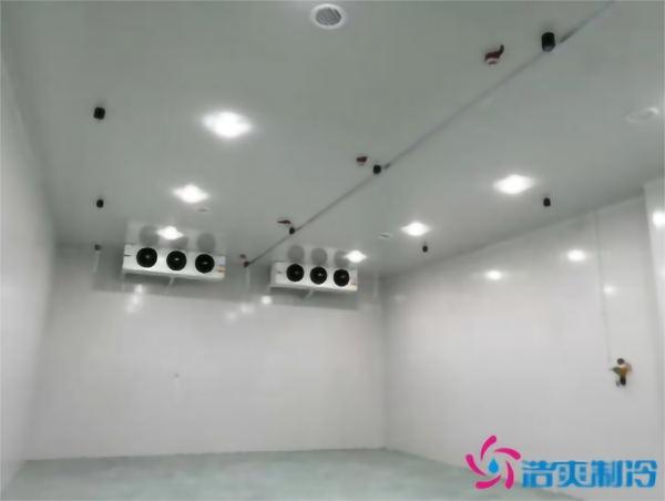 茄子气调冷库安装存储方法_浩爽制冷 茄子气调冷库安装存储方法_浩爽制冷