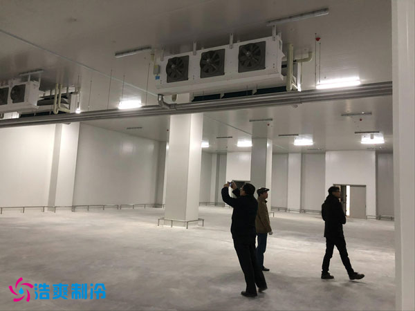 建造一间凤梨保鲜冷库费用需要多少钱？_浩爽制冷
