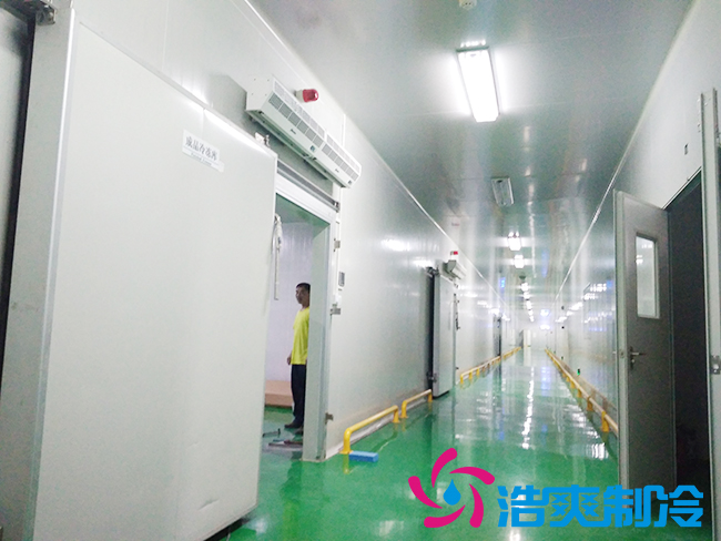 上海立净淮安百斯特农业园保鲜冷库建造 上海立净淮安百斯特农业园保鲜冷库建造