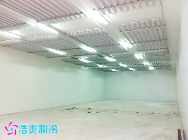 包子冷库建造储存标准及温度要求_浩爽制冷