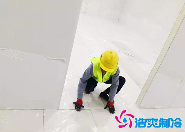 影响蓝莓保鲜冷库价格的因素有哪些？_浩爽制冷