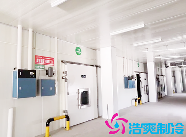 火龙果冷库保存方法,火龙果能在冷库存多久-浩爽制冷 火龙果冷库保存方法,火龙果能在冷库存多久-浩爽制冷