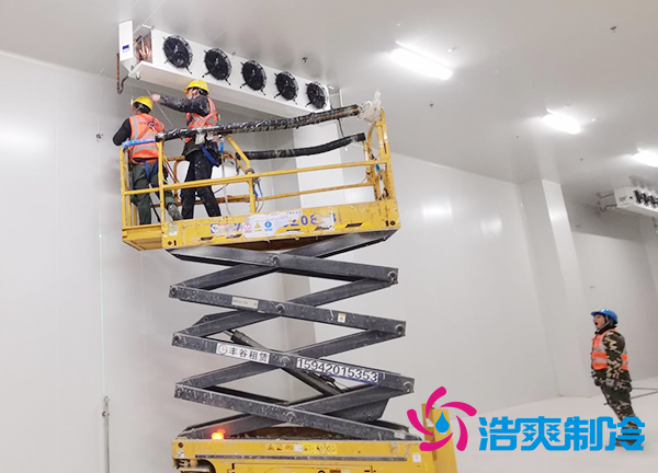 蔬菜种植基地建造600立方米保鲜冷库大概需要多少钱？-浩爽制冷
