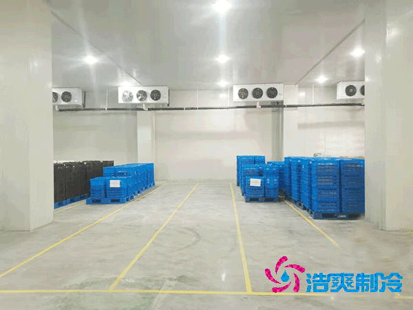 加工厂冷库安装造价成本大概多少钱?