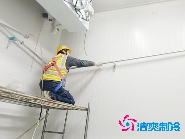 500吨容量冷库造价