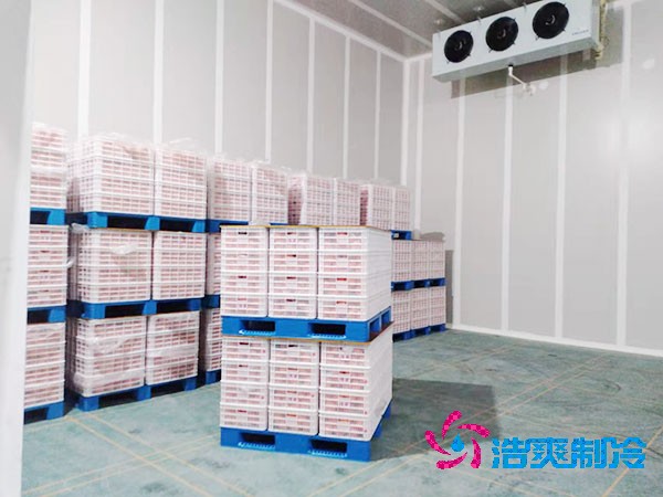 果蔬冷库造价