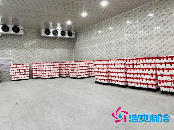 食品冷库设计安装价格