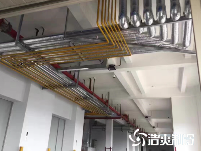 氟利昂系统冷库设计安装